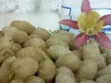 نهم اردیبشهت؛ جشنواره توتتکانی گناباد