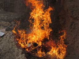 کشف و معدومسازی نه و نیم تن مواد غذایی فاسد در گناباد