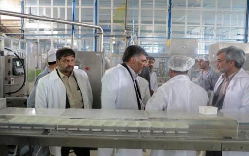 گناباد قطب دامداری است
