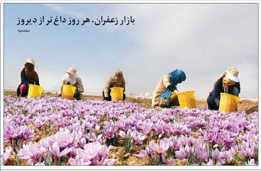 بازار زعفران ؛ هر روز داغ تر از دیروز
