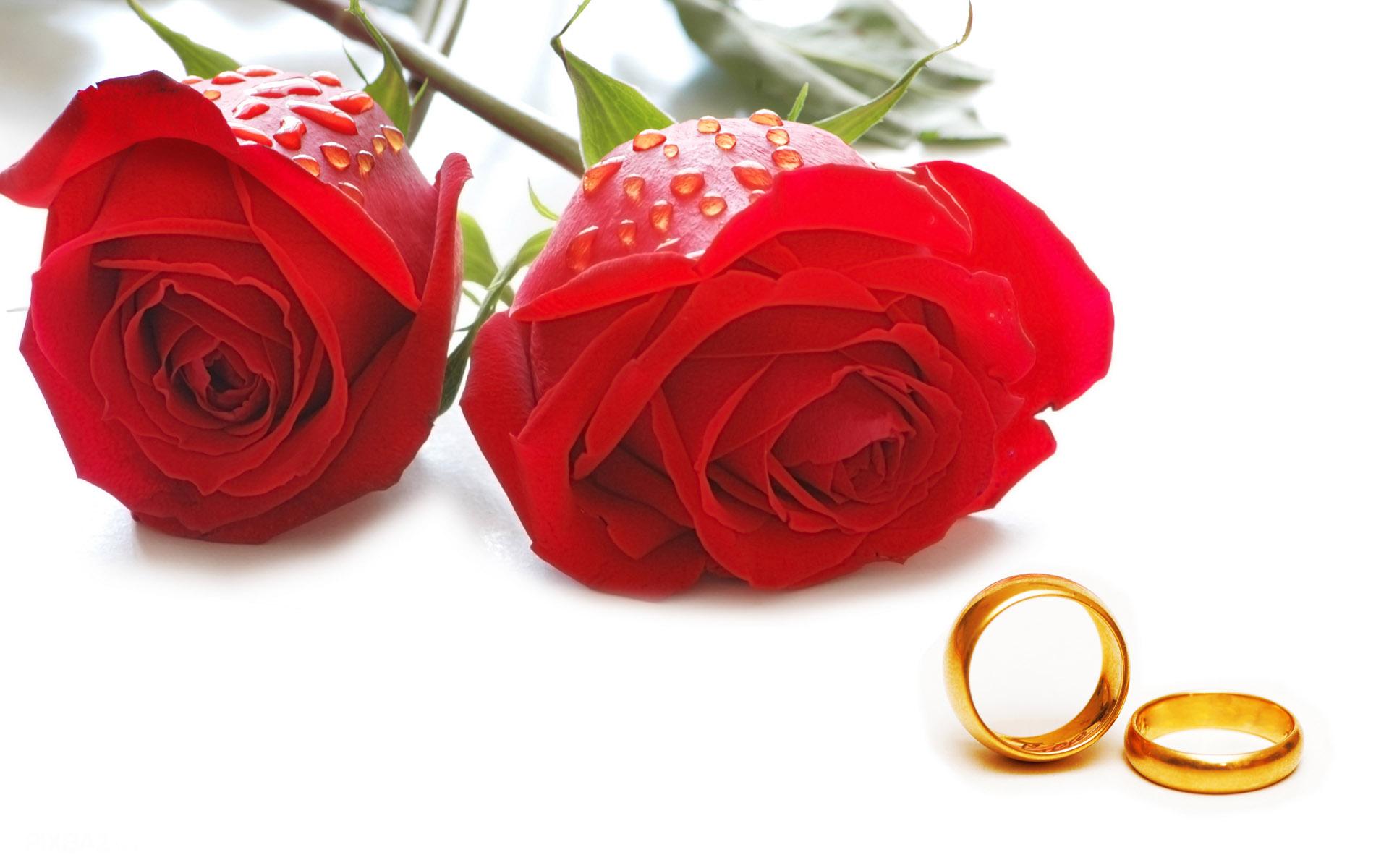 ازدواج زوج گنابادی در کنار مزار شهدای گمنام